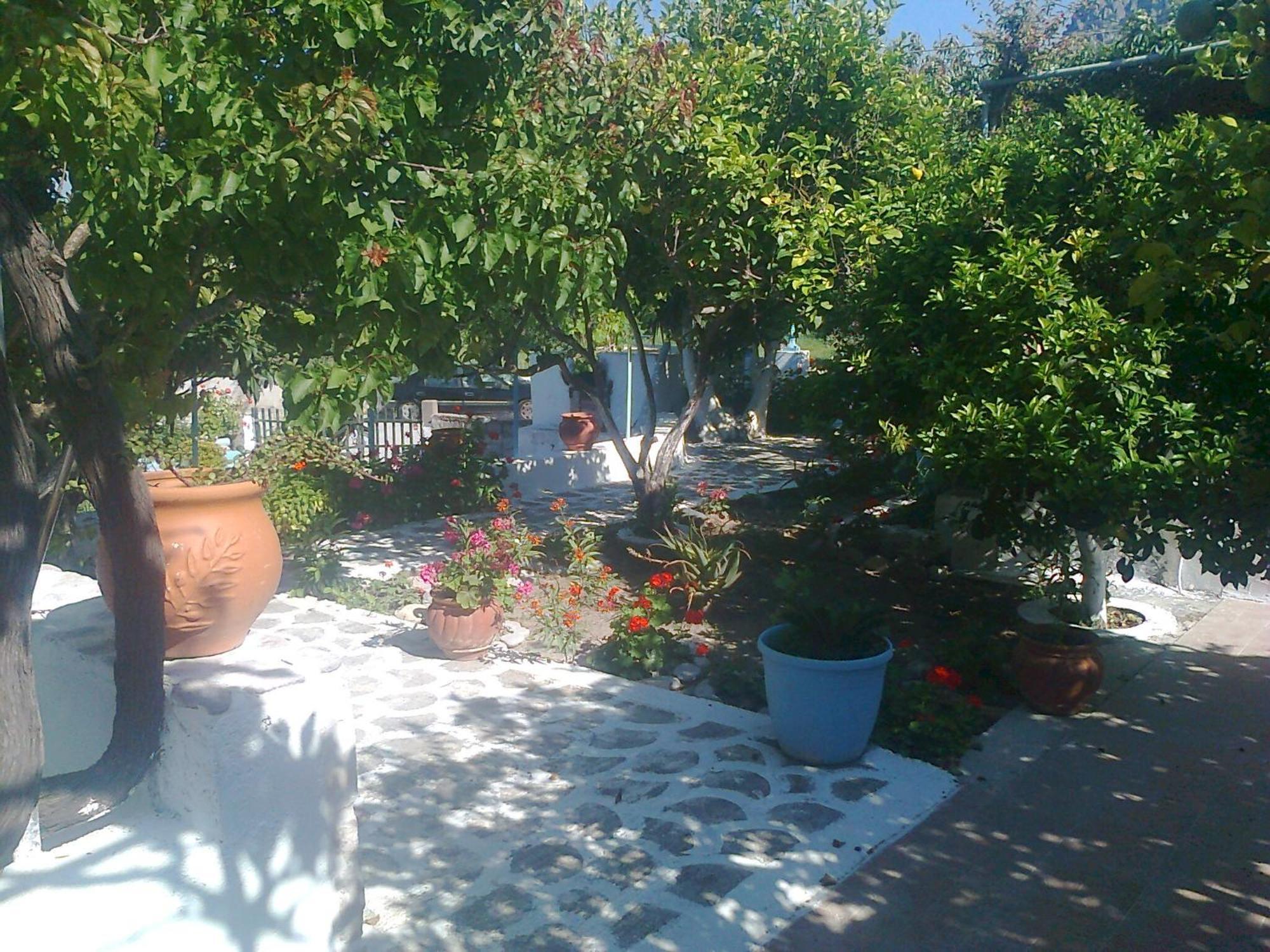 Dionysia Apartament Kéfalos