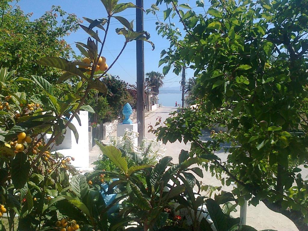 Dionysia Apartament