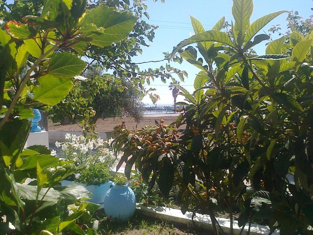 Dionysia Apartment *