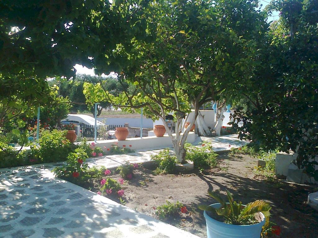 Apartament Dionysia Kéfalos